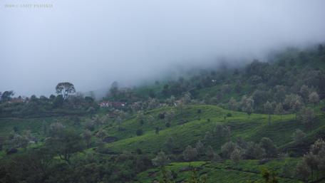 Misty Hills in a Lush Valley Landscape wallpaper