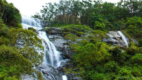 Majestic Waterfall Amidst Lush Greenery wallpaper