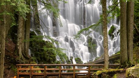 Majestic Waterfall Oasis in Lush Forest wallpaper