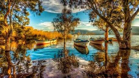 Serene Lakeside Reflection with Boats and Trees wallpaper