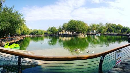 Tranquil Afternoon at the Park wallpaper