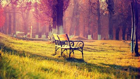 Autumn Serenity in a Vintage Park wallpaper