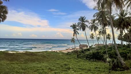 Tranquil Beach Paradise in 4K wallpaper