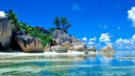 Tropical Paradise Retreat wallpaper