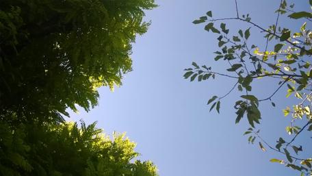 Serenity Beneath the Blue Sky wallpaper