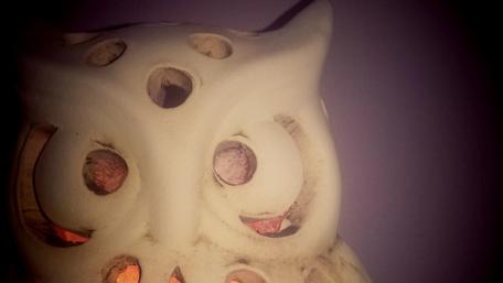 Owl Lantern in a Mystical Glow wallpaper