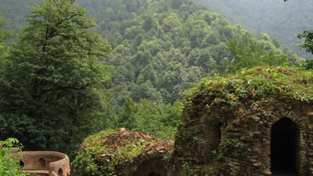 Mystical Ruins in Lush Greenery wallpaper