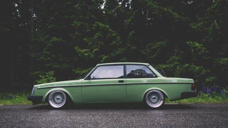 Classic Green Beauty in Nature wallpaper