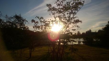 Serene Sunset Over Blooming Landscape wallpaper