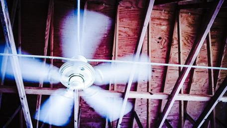 Ceiling Fan Abstract in Purple Tones wallpaper