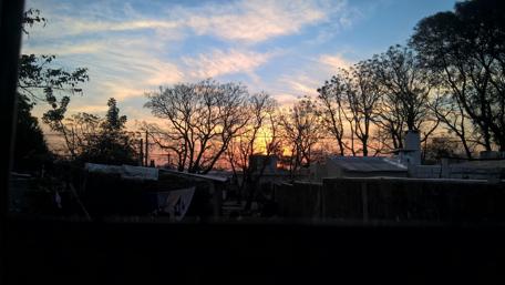 Serene Urban Sunset Over Silhouetted Trees wallpaper