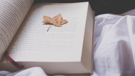 Whispers of Nature in an Open Book wallpaper