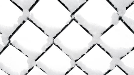 Winter's Embrace Behind the Fence wallpaper