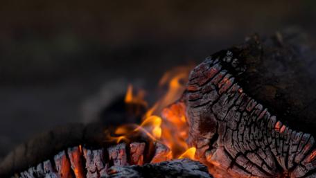 Warm Glow of Nature's Firelight wallpaper