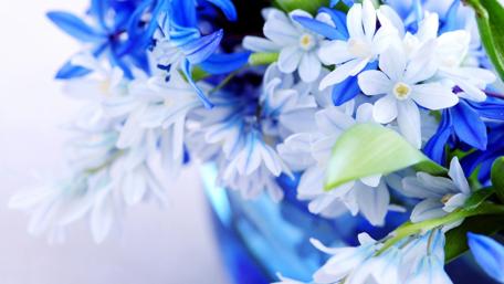 Delicate Blue and White Floral Arrangement wallpaper
