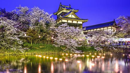 Serenity at the Castle Under the Cherry Blossoms wallpaper