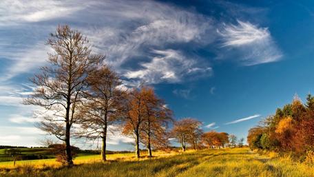Autumn Serenity in Nature's Canvas wallpaper