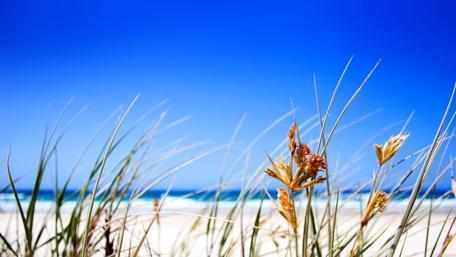 Blue sky in the summer beach ⛱ wallpaper