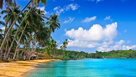 Tropical Paradise Under Bright Skies wallpaper
