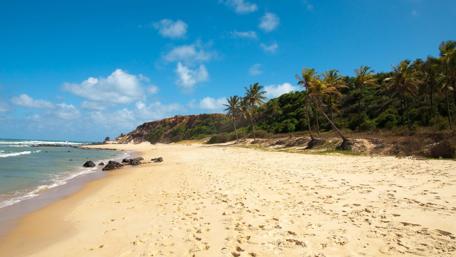 Serene Beach Paradise Under Clear Blue Skies wallpaper