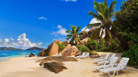 Tropical Paradise by the Shore wallpaper