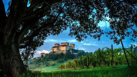 Majestic Castle Amidst Nature's Embrace wallpaper