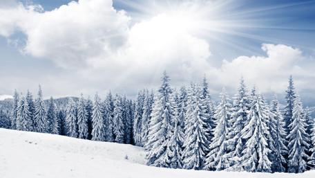 Serene Winter Wonderland Scene wallpaper
