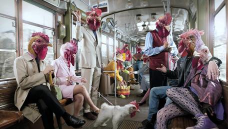 Commuting Fowls in Style wallpaper