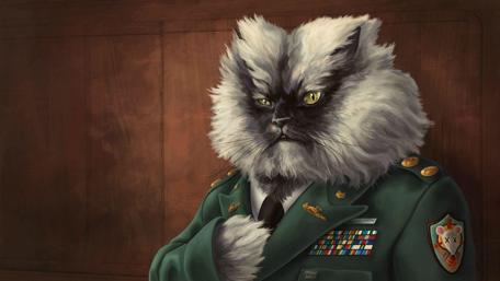Serious Feline Commander Portrait wallpaper