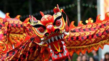 Vibrant Dragon Dance Celebration Wallpaper wallpaper