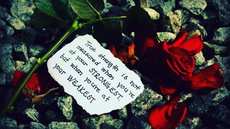 Love and Resilience in Words and Roses wallpaper