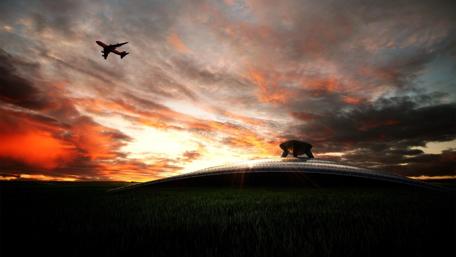 Skybound Journey Over Nature's Canvas wallpaper
