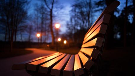 Serene Night Park Bench Scene wallpaper