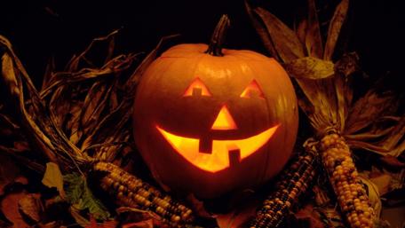 Spooktacular Halloween Pumpkin Glow wallpaper