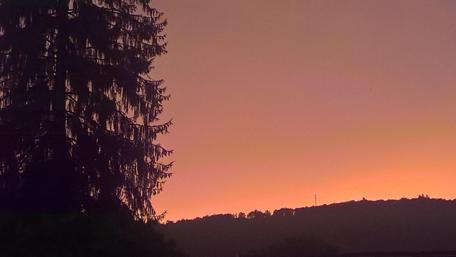 Serene Sunset Over Silhouetted Pines wallpaper