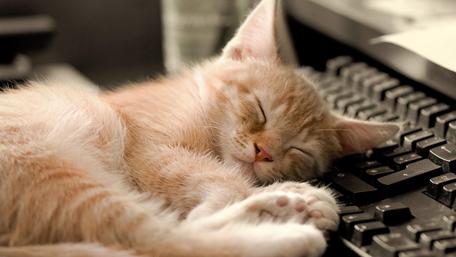 Sweet Dreams on the Keyboard wallpaper