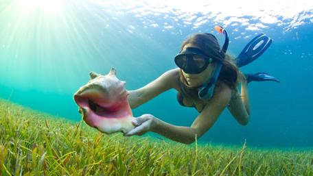 Underwater Adventure and Discovery in the Deep wallpaper