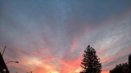 Sunrise Over Nature's Canopy wallpaper