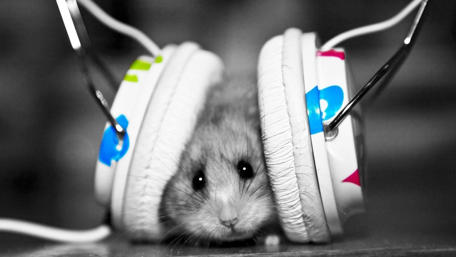 Cute Hamster with Colorful Headphones Enjoying Music wallpaper