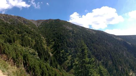 Majestic Mountain View Above Lush Greenery wallpaper