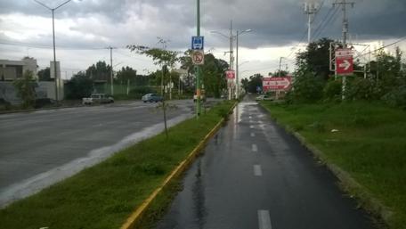 Urban Pathway After Rainy Weather wallpaper