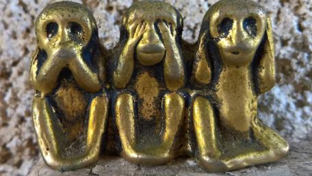 Golden Monkeys Embracing Life's Wisdoms wallpaper