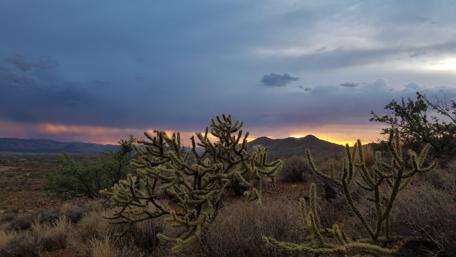 Desert Sunset Serenity in Arizona wallpaper