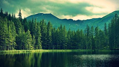 Mountain Lake Serenity wallpaper