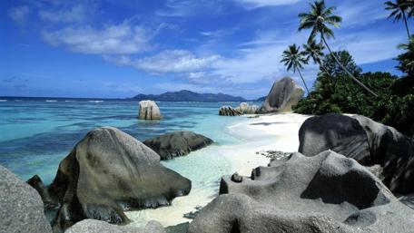 Serene Beach Oasis with Palms and Rocks wallpaper