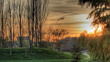 Serene Sunset Over the Tranquil Park Landscape wallpaper