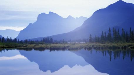 Serene Reflections in Nature's Embrace wallpaper