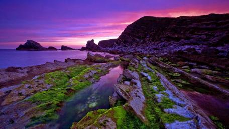 Purple Twilight at the Sea Shore wallpaper