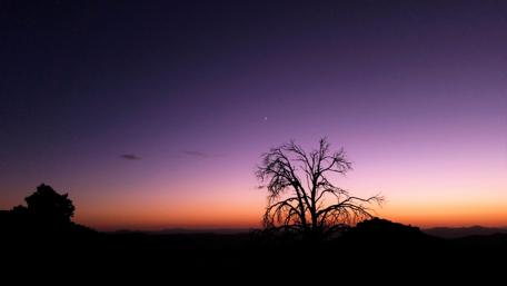 Peaceful Arizona Sunset Over a Silhouette Tree wallpaper