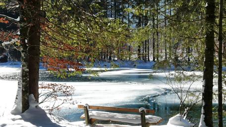Serene Winter Retreat by the Water wallpaper